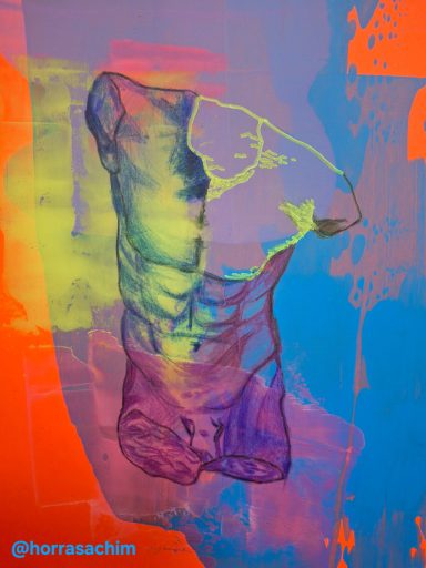 Torso