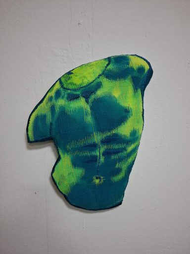 Torso