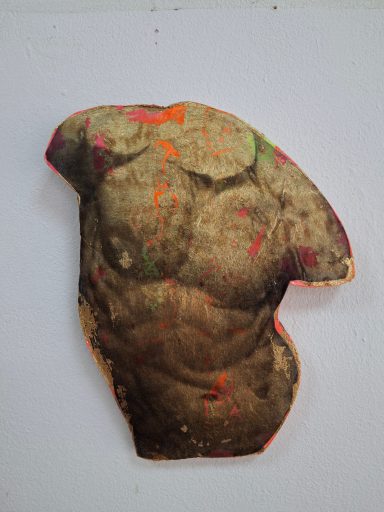 Torso